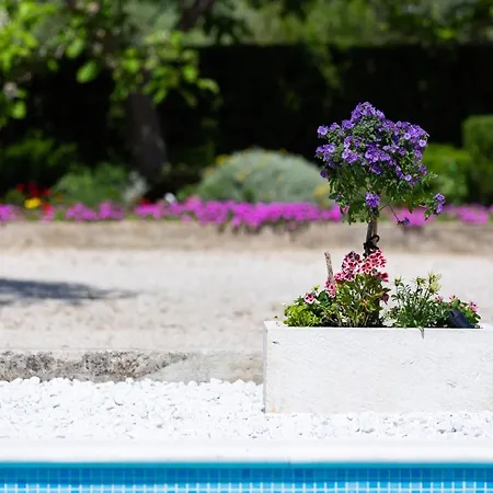 Melki For 12 People With Private Pool