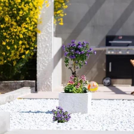 Melki For 12 People With Private Pool Klis