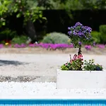 Melki For 12 People With Private Pool