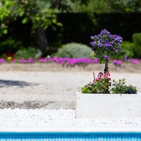 Melki For 12 People With Private Pool