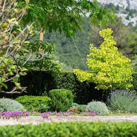 Villa Melki For 12 People With Private Pool Klis